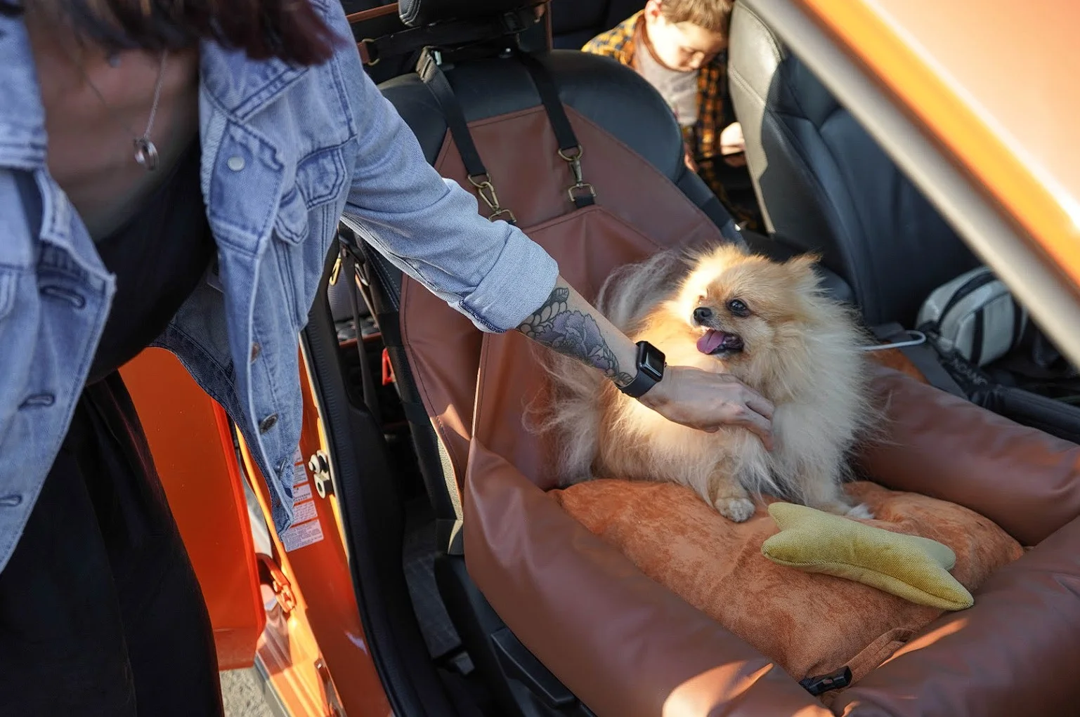 Chevrolet Suburban Dog Car Seat for Soft Coated Wheaten Terriers